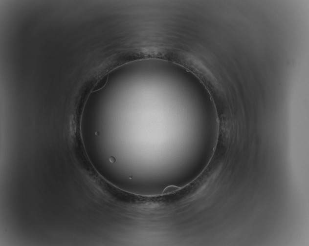 X0000089700593200706281456