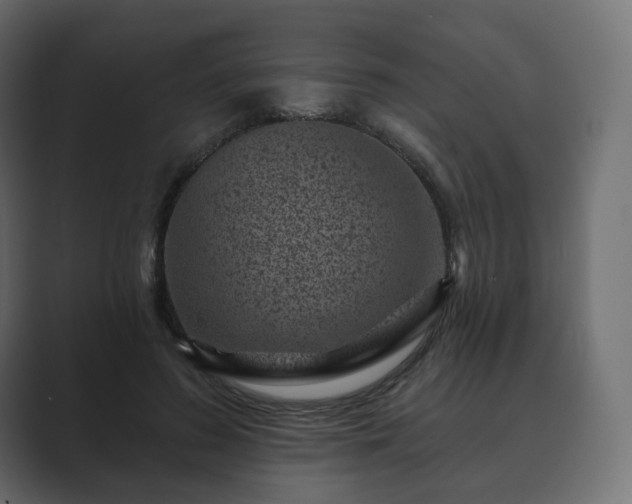 X0000089700596200706281456