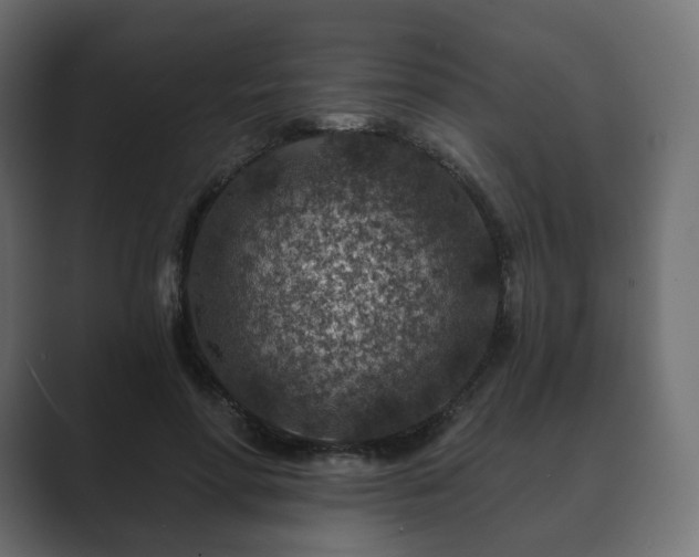 X0000089700598200706281456