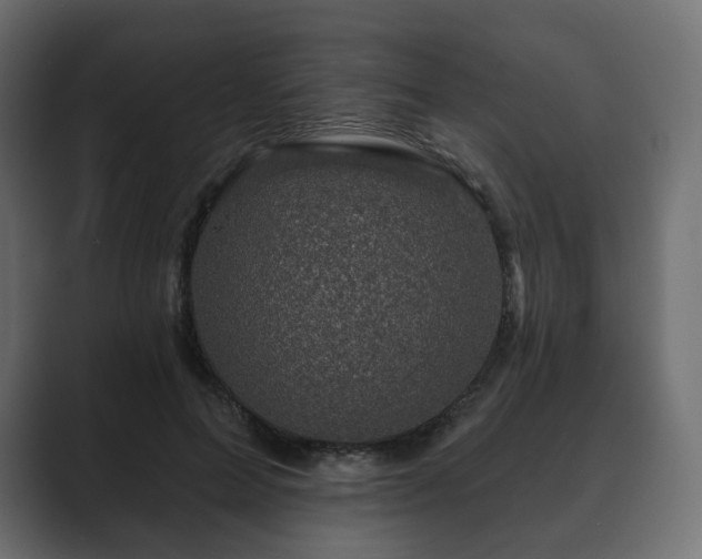 X0000089700599200706281456