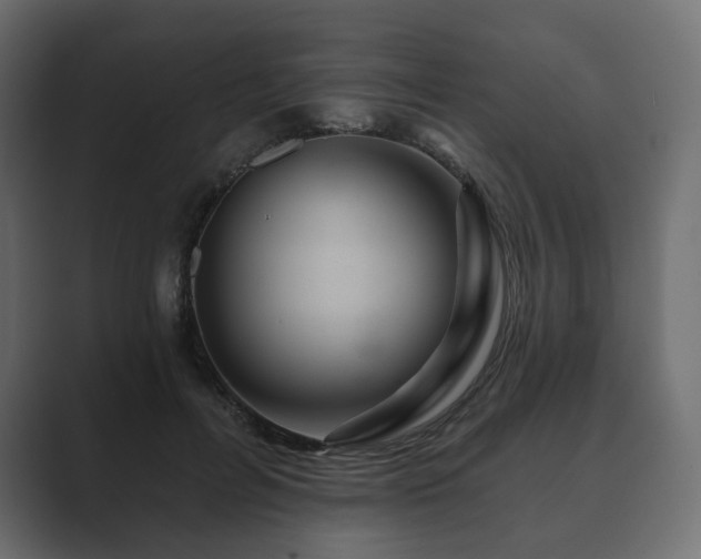 X0000089700600200706281456