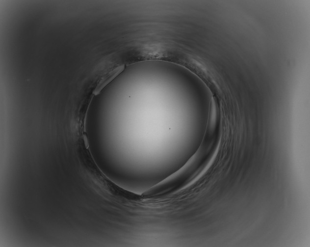 X0000089700601200706281456