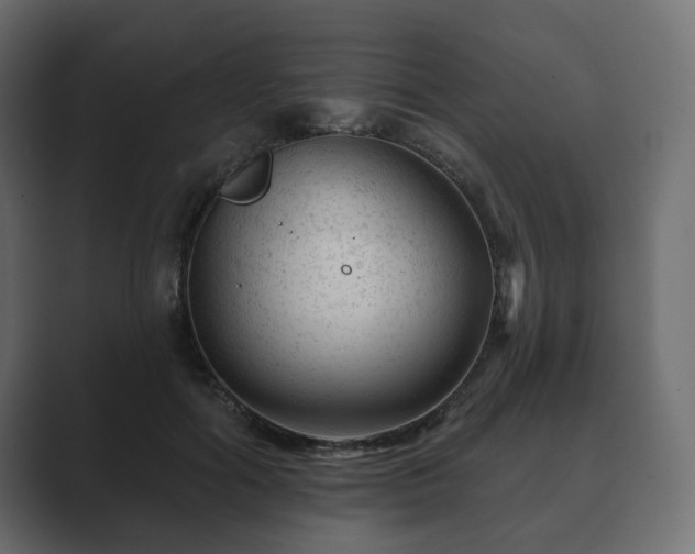 X0000089700602200706281456