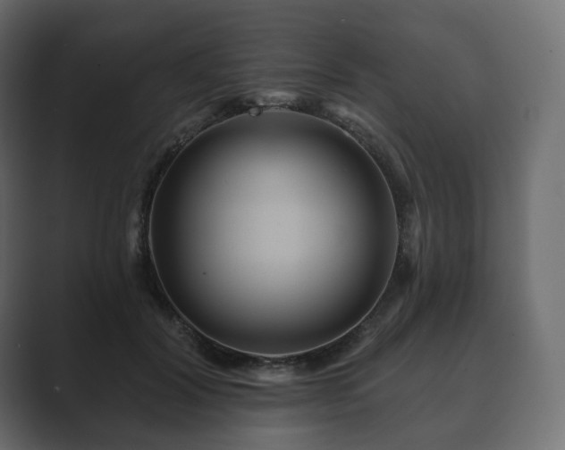 X0000089700604200706281456