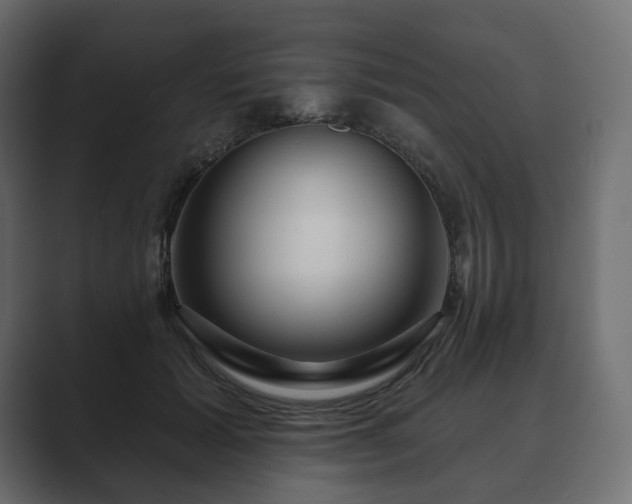 X0000089700605200706281456