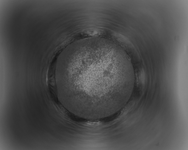 X0000089700606200706281456