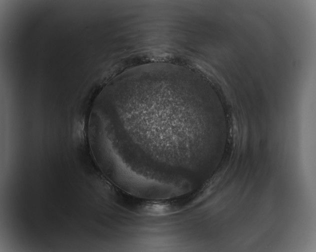 X0000089700610200706281456