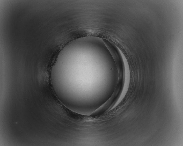 X0000089700613200706281456