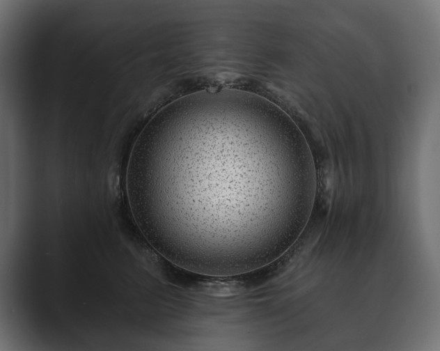 X0000089700615200706281456