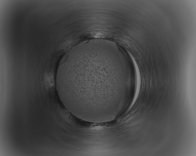 X0000089700620200706281456