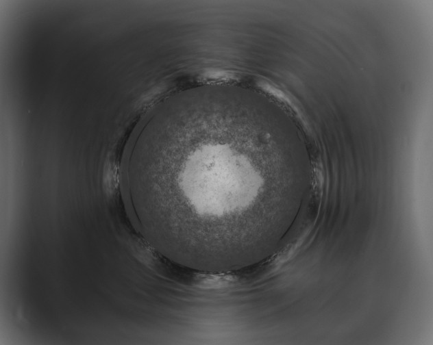 X0000089700621200706281456