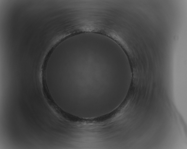 X0000089700626200706281455