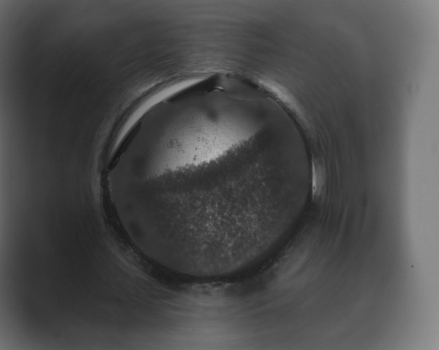 X0000089700627200706281455