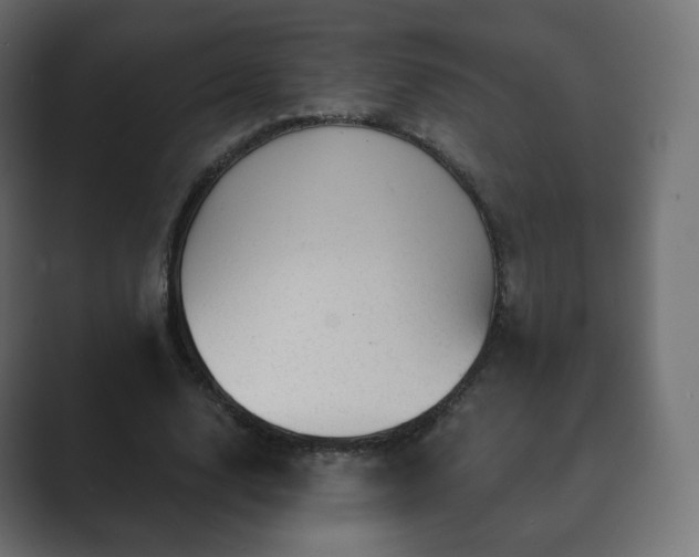 X0000089700632200706281455