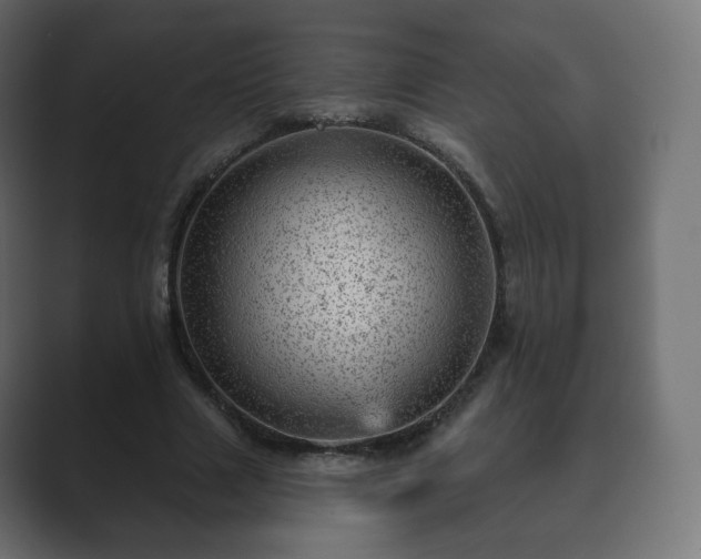 X0000089700633200706281455