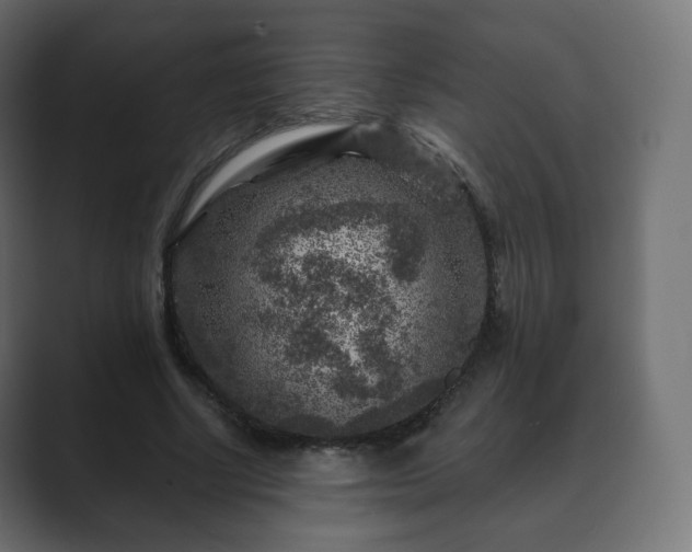 X0000089700634200706281455