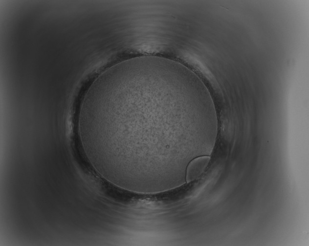 X0000089700635200706281455