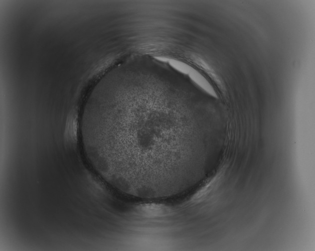 X0000089700637200706281455