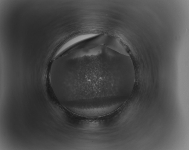 X0000089700640200706281455