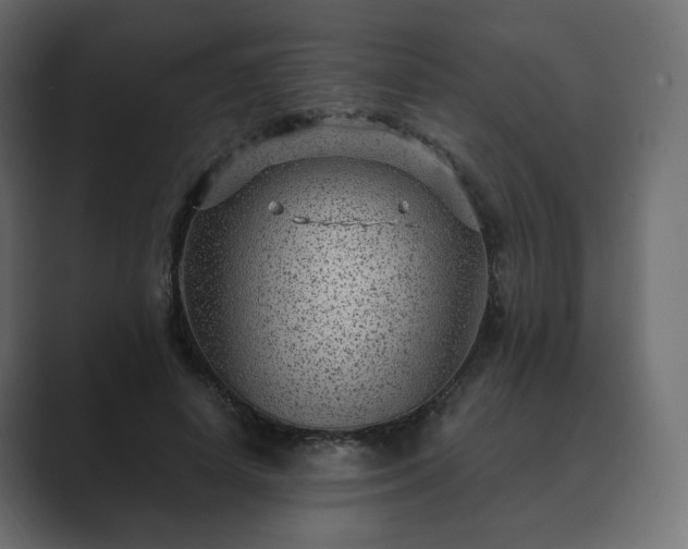 X0000089700642200706281455