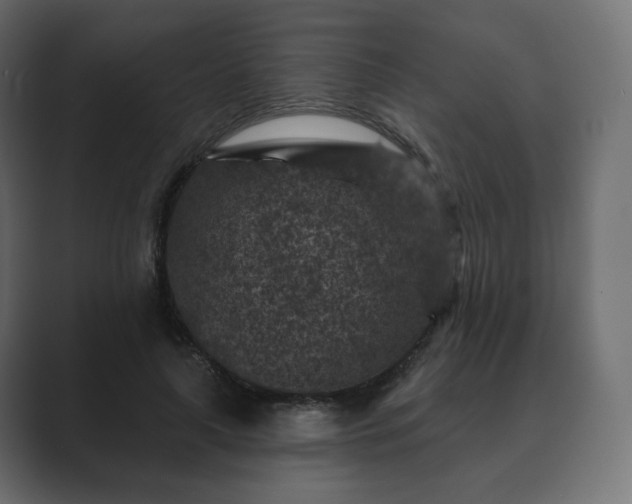 X0000089700643200706281455