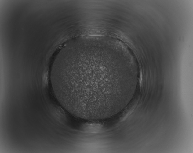 X0000089700644200706281455