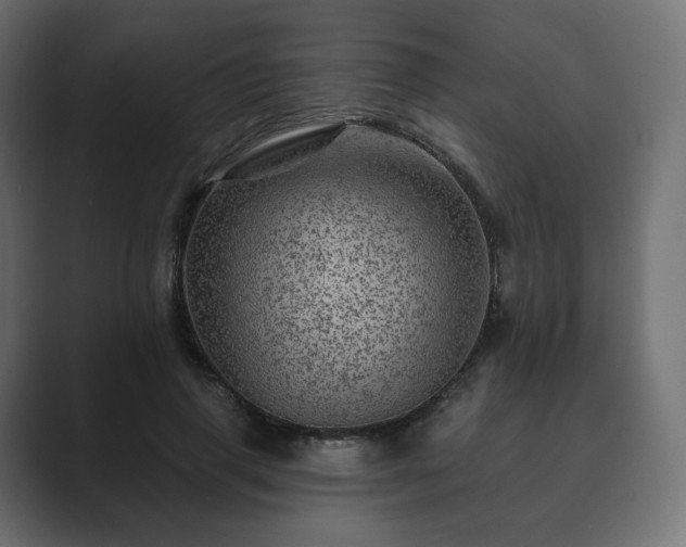 X0000089700645200706281455