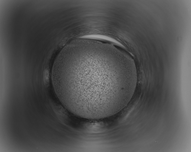 X0000089700646200706281455