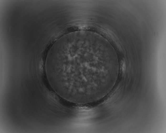 X0000089700650200706281455