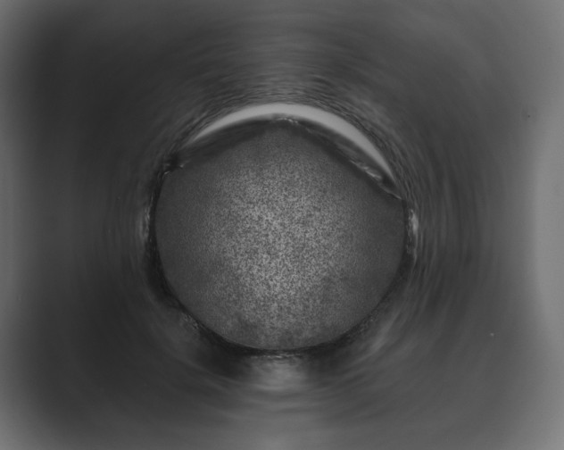 X0000089700652200706281455