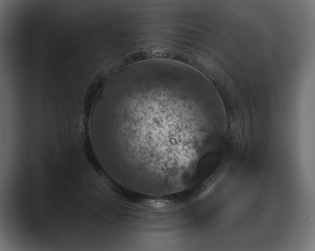 X0000089700654200706281455