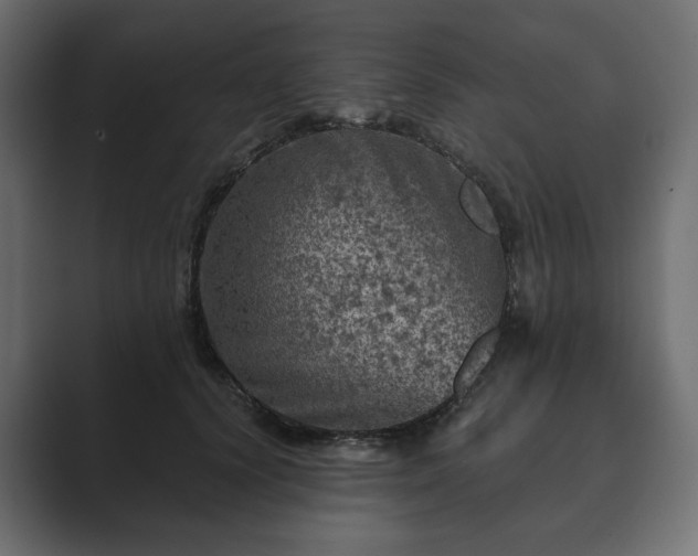 X0000089700656200706281455