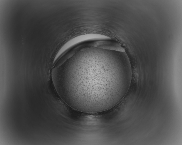 X0000089700657200706281455