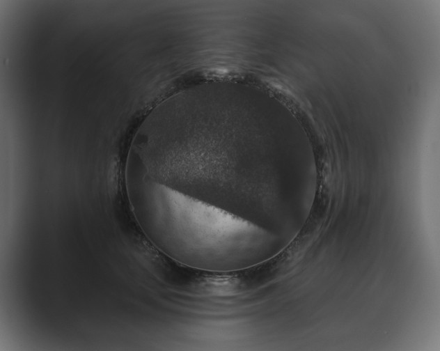 X0000089700659200706281455