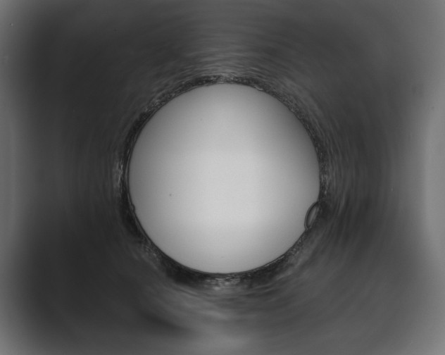 X0000089700660200706281455