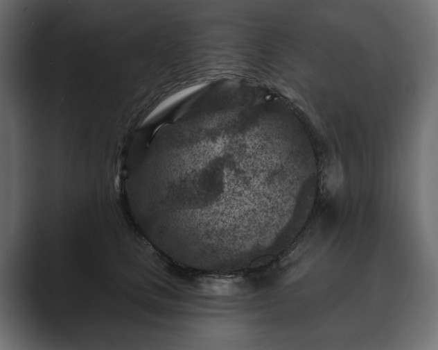 X0000089700661200706281455