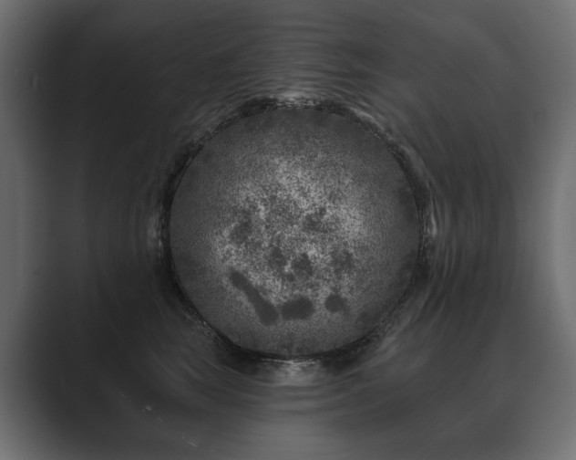 X0000089700663200706281455