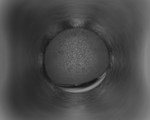 X0000089700664200706281455