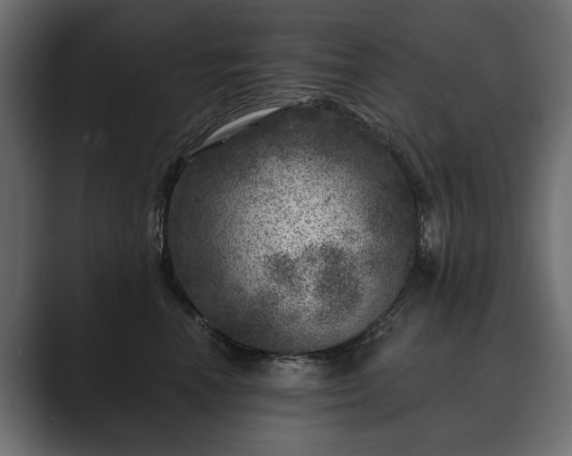 X0000089700666200706281455