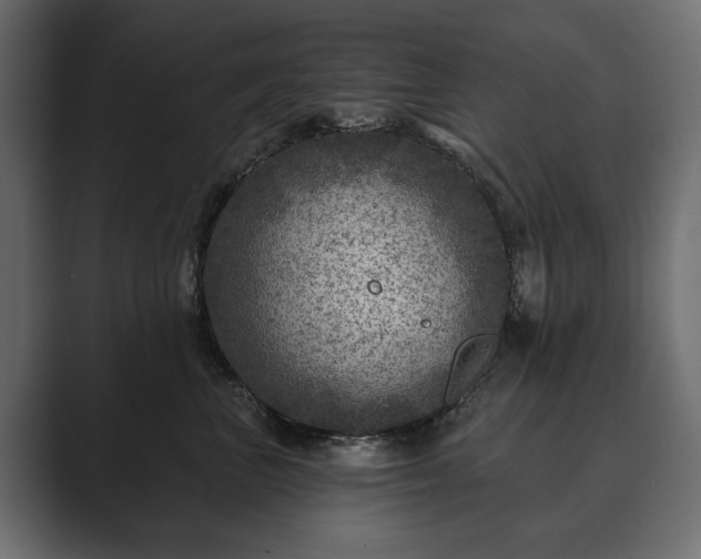 X0000089700667200706281455