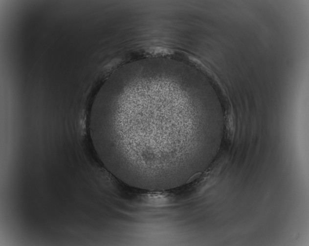 X0000089700668200706281455