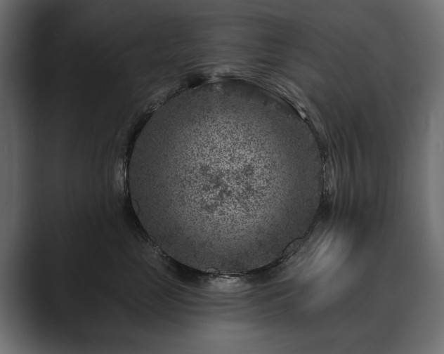 X0000089700669200706281455