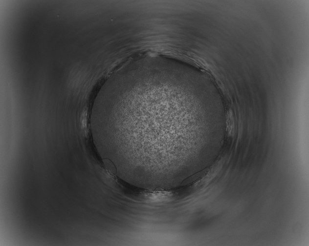 X0000089700670200706281455