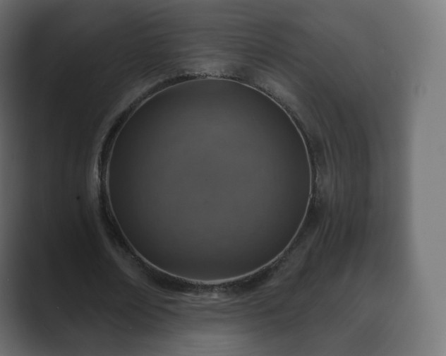 X0000089700674200706281455