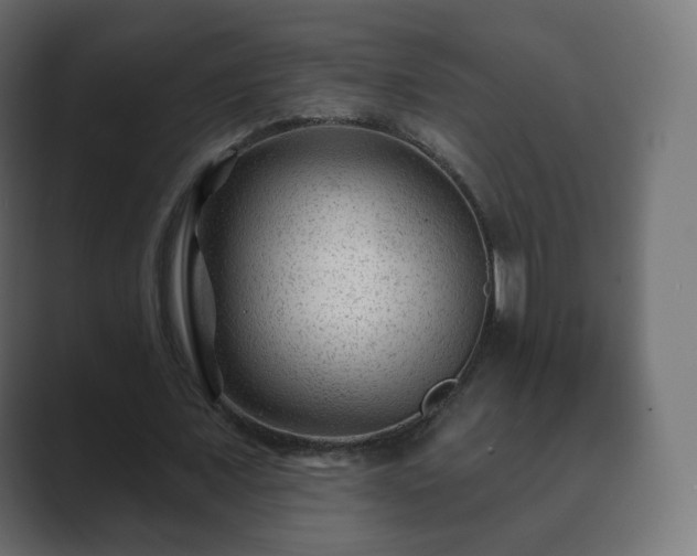 X0000089700675200706281455