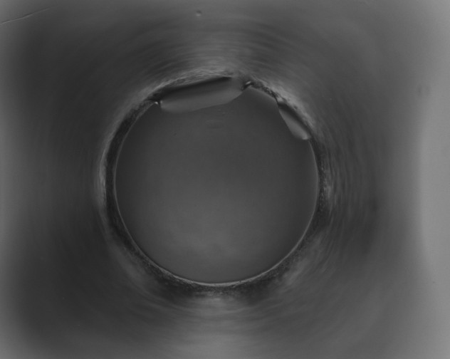 X0000089700678200706281455