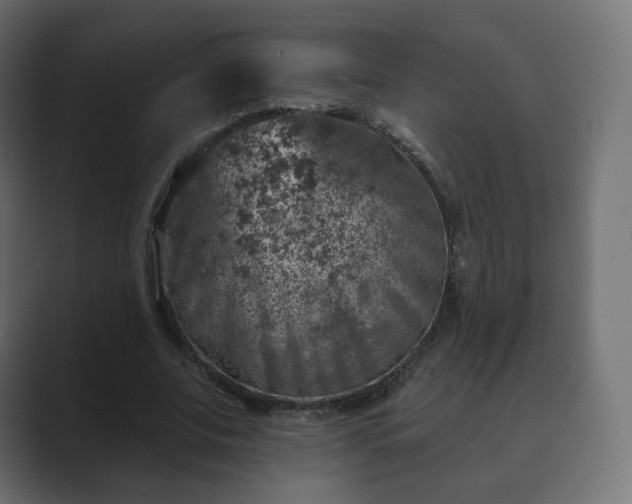 X0000089700679200706281455