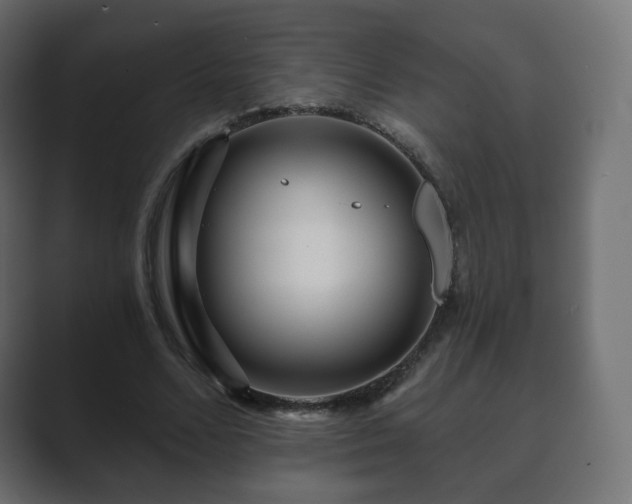 X0000089700680200706281455