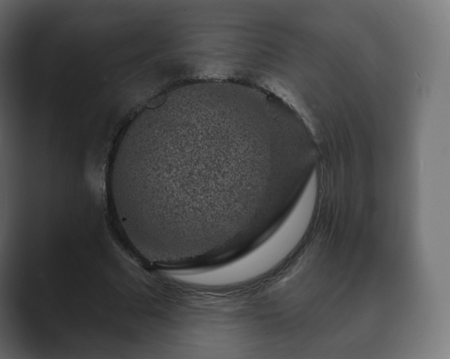 X0000089700681200706281455