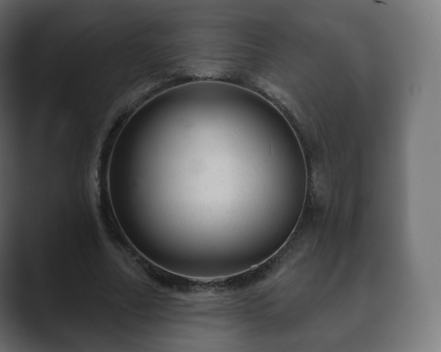 X0000089700682200706281455